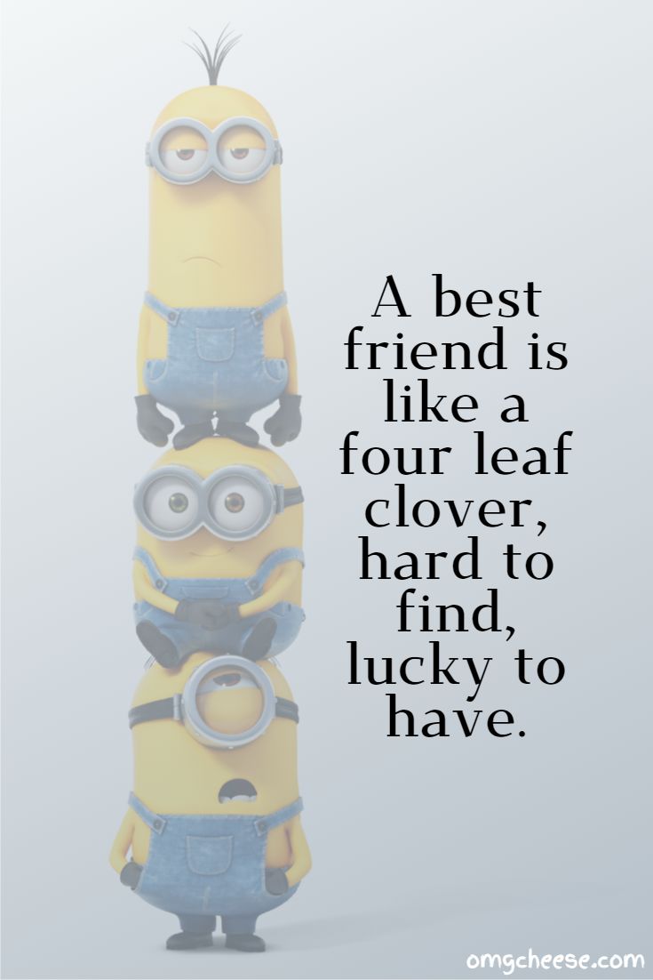 A best friend is like a four leaf clover, hard to find, lucky to have.