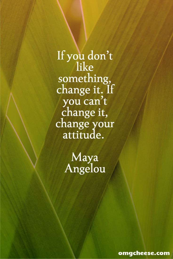 If you don’t like something, change it. If you can’t change it, change your attitude. Maya Angelou