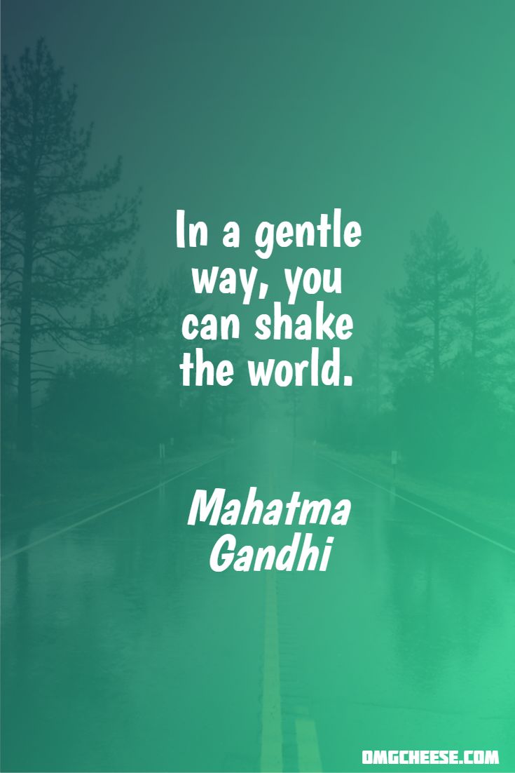 In a gentle way, you can shake the world. Mahatma Gandhi