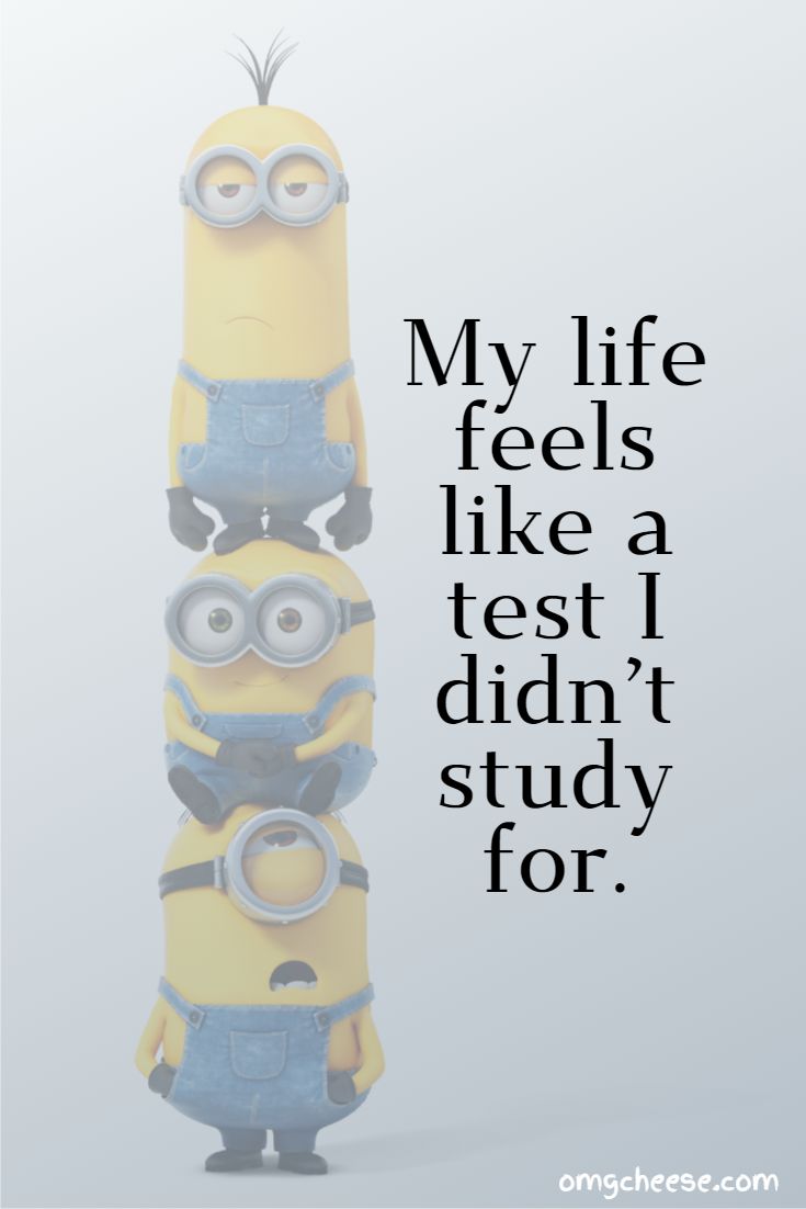 My life feels like a test I didn’t study for.